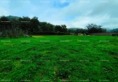 Non-developable land for sale on España, Almonaster la Real, ref: TR220565 photo