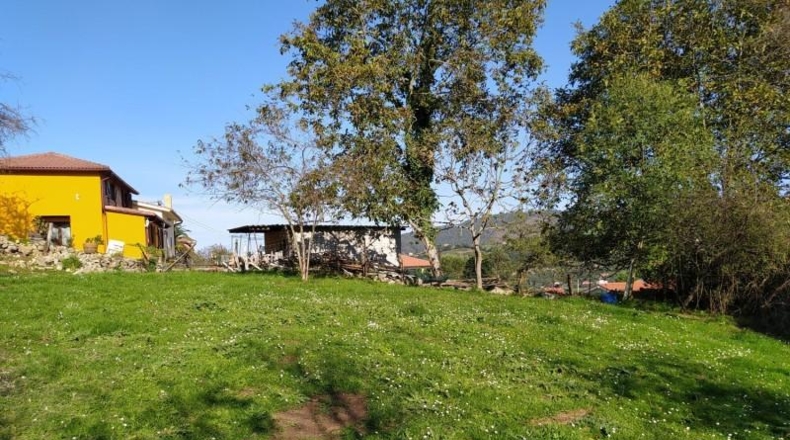 Asturias - Gijón - 1775m2