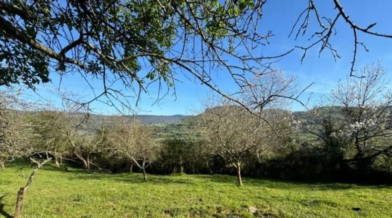 Asturias - Gijón - 1775m2