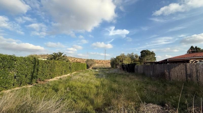 Murcia - Murcia - 790m2