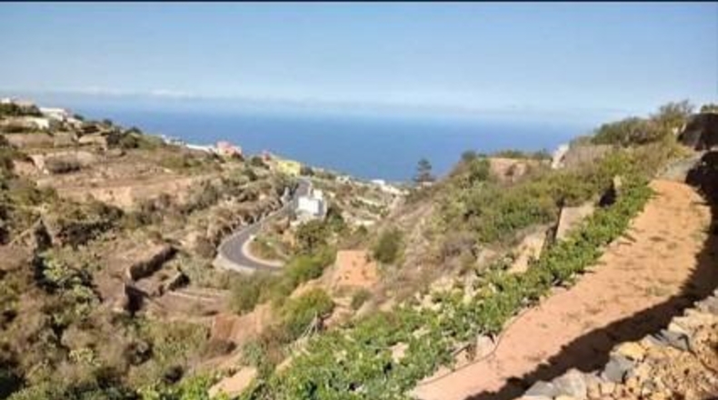 Santa Cruz de Tenerife - Fasnia - 2414m2