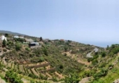 Terreno no urbanizable en venta en la España, Fasnia, ref: TR125499 foto