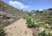 Terreno no urbanizable en venta en la España, Fasnia, ref: TR125499 foto