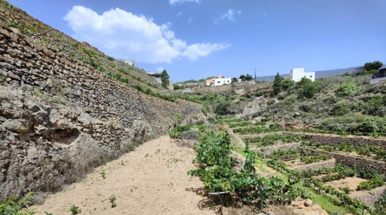 Santa Cruz de Tenerife - Fasnia - 2414m2