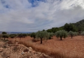 Xalet independent amb terreny en venda a la España, la Romana, ref.: TR301167 foto