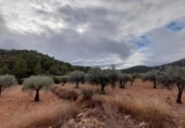 Xalet independent amb terreny en venda a la España, la Romana, ref.: TR301167 foto