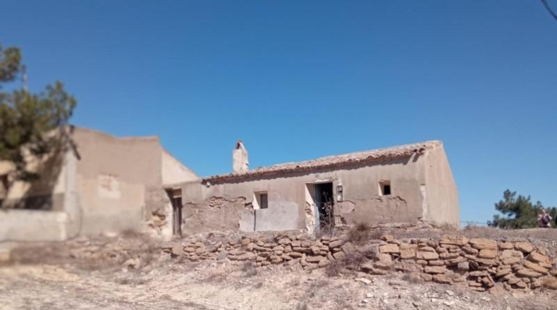 Murcia - Murcia - 1500m2
