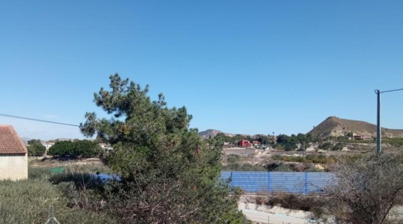 Murcia - Murcia - 1500m2