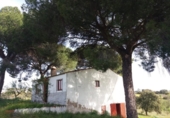 Xalet independent amb terreny en venda a la España, Garrovillas de Alconétar, ref.: TR215109 foto