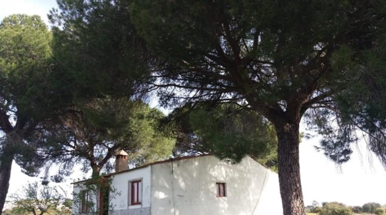 Cáceres - Garrovillas de Alconétar - 6200m2