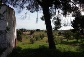 Garrovillas de Alconétar 6200&nbsp;м²