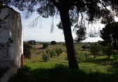 Xalet independent amb terreny en venda a la España, Garrovillas de Alconétar, ref.: TR215109 foto