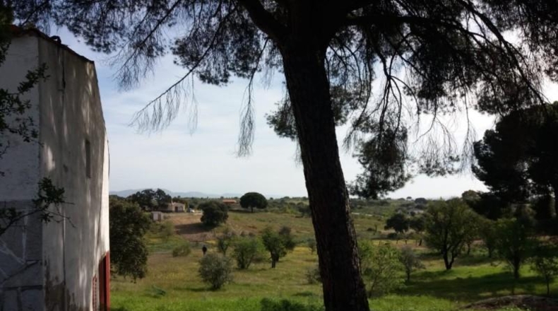 Cáceres - Garrovillas de Alconétar - 6200m2