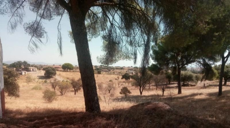 Cáceres - Garrovillas de Alconétar - 6200m2