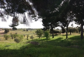 Garrovillas de Alconétar 6200&nbsp;м²