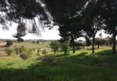 Xalet independent amb terreny en venda a la España, Garrovillas de Alconétar, ref.: TR215109 foto