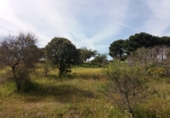 Xalet independent amb terreny en venda a la España, Garrovillas de Alconétar, ref.: TR215109 foto