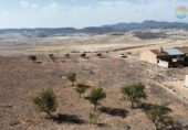 Casa de camp amb terreny en venda a la España, Totana, ref.: TR300985 foto