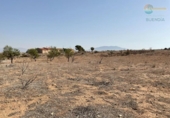 Casa de camp amb terreny en venda a la España, Totana, ref.: TR300985 foto