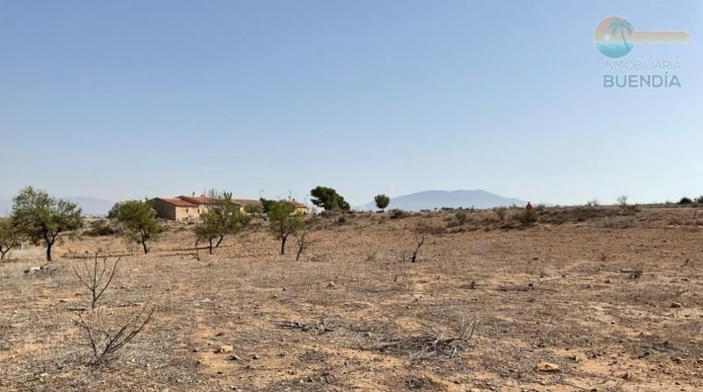 Murcia - Totana - 6197m2