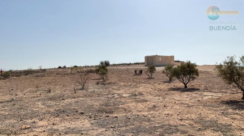 Murcia - Totana - 6197m2