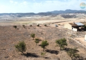 Casa de camp amb terreny en venda a la España, Totana, ref.: TR300985 foto