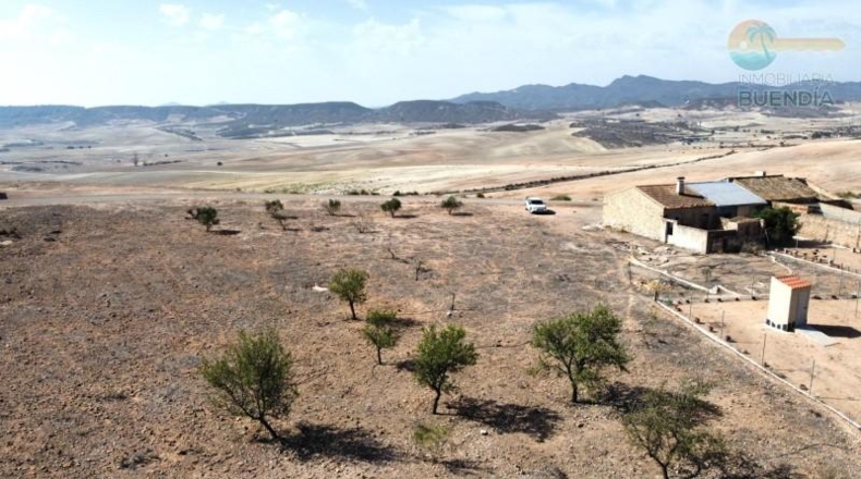 Murcia - Totana - 6197m2