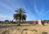 Xalet independent amb terreny en venda a la España, Múrcia, ref.: TR317155 foto