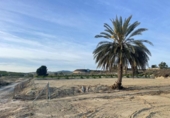 Xalet independent amb terreny en venda a la España, Múrcia, ref.: TR317155 foto