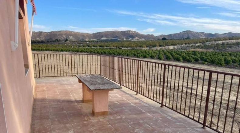 Murcia - Murcia - 17536m2