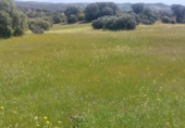 Non-developable land for sale on España, Aldeaquemada, ref: TR378108 photo