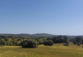 Non-developable land for sale on España, Aldeaquemada, ref: TR378108 photo