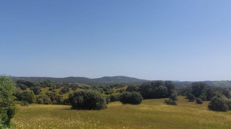 Jaén - Aldeaquemada - 80000m2