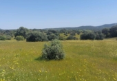 Non-developable land for sale on España, Aldeaquemada, ref: TR378108 photo