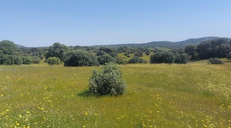 Jaén - Aldeaquemada - 80000m2