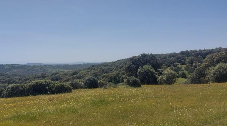 Jaén - Aldeaquemada - 80000m2