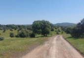 Non-developable land for sale on España, Aldeaquemada, ref: TR378108 photo
