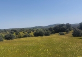 Non-developable land for sale on España, Aldeaquemada, ref: TR378108 photo