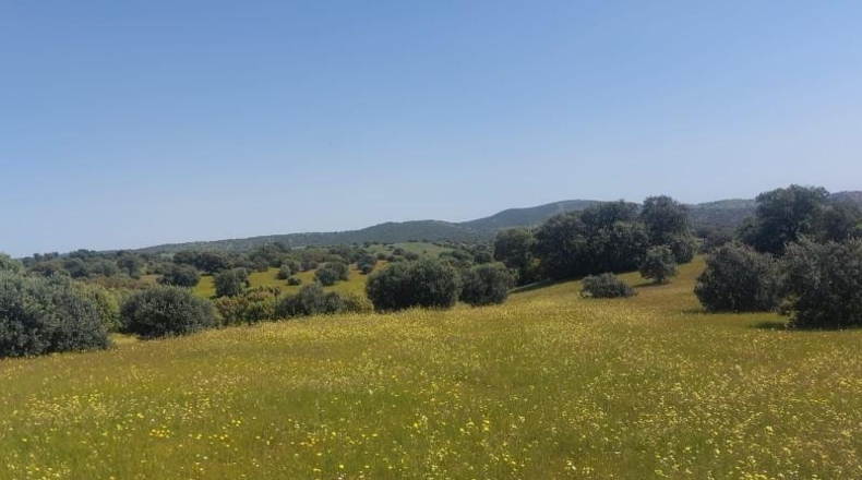 Jaén - Aldeaquemada - 80000m2