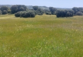 Non-developable land for sale on España, Aldeaquemada, ref: TR378108 photo
