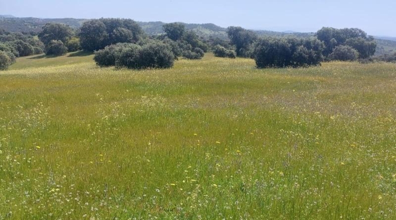 Jaén - Aldeaquemada - 80000m2