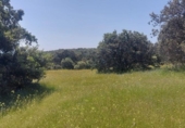 Non-developable land for sale on España, Aldeaquemada, ref: TR378108 photo