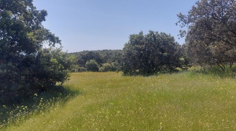 Jaén - Aldeaquemada - 80000m2