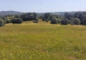 Non-developable land for sale on España, Aldeaquemada, ref: TR378108 photo