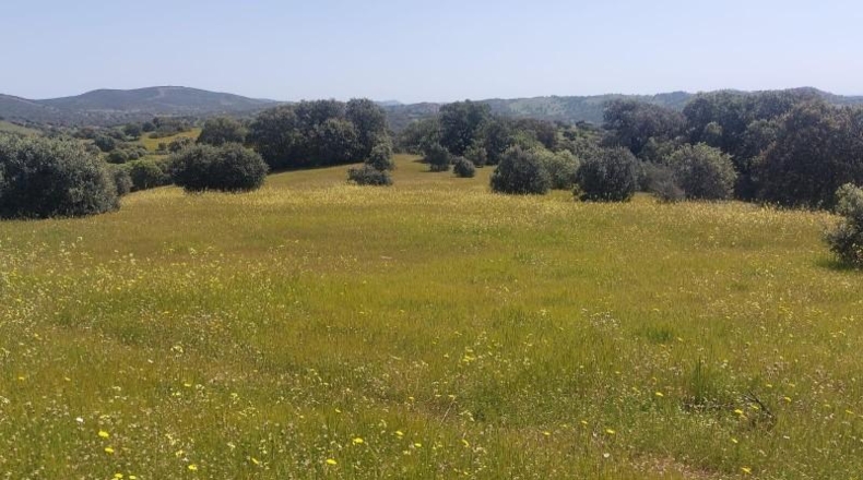 Jaén - Aldeaquemada - 80000m2