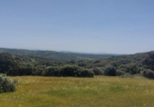 Non-developable land for sale on España, Aldeaquemada, ref: TR378108 photo