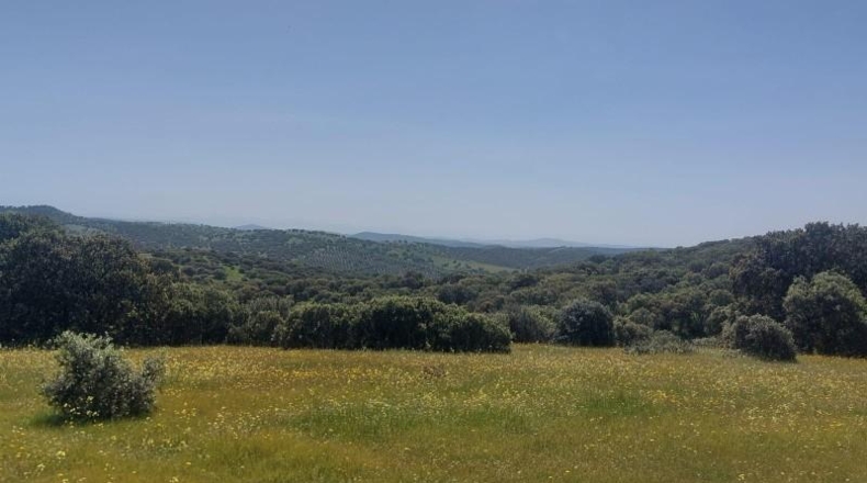 Jaén - Aldeaquemada - 80000m2