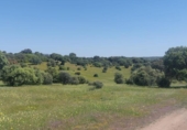 Non-developable land for sale on España, Aldeaquemada, ref: TR378108 photo