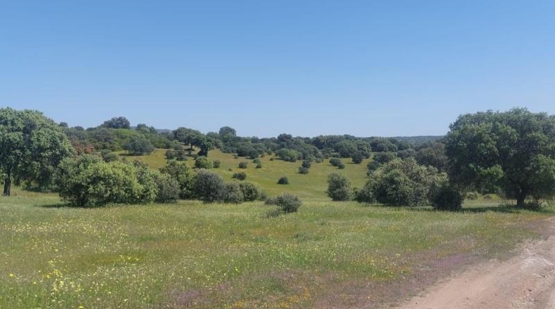 Jaén - Aldeaquemada - 80000m2
