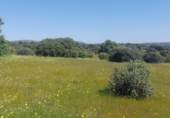 Non-developable land for sale on España, Aldeaquemada, ref: TR378108 photo